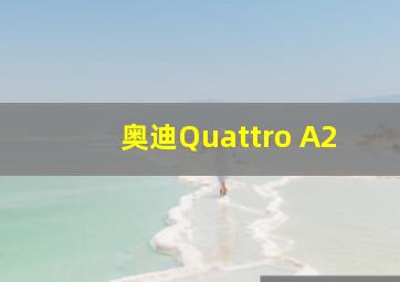 奥迪Quattro A2